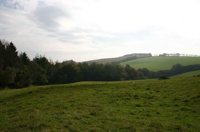 A grassy field with rolling hills and a line of trees in the distance.