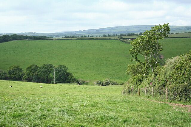 North Molton: near Radworthy Down Looking north-north-west
