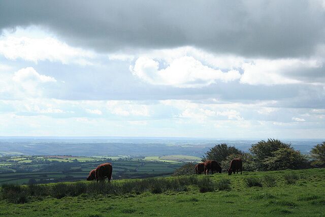 Twitchen: near Twitchen Ball Corner Looking south west below the North Molton Ridge