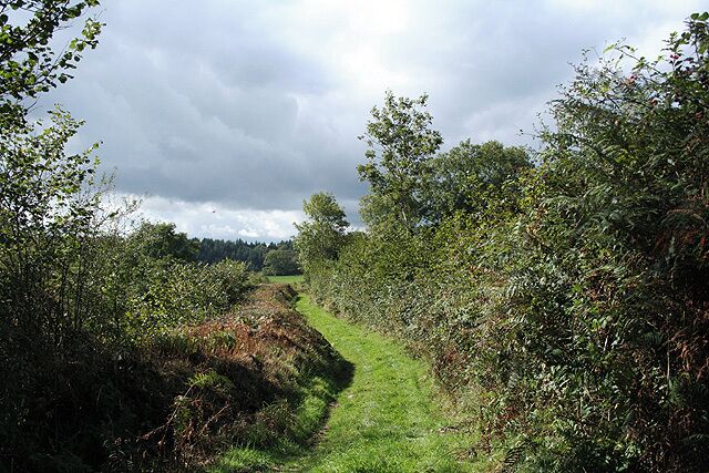 Twitchen: public footpath. Looking west-south-west towards Twitchen. The track clearly had a purpose and it was possibly to provide access to Leworthy Wood where there is evidence of past coppicing