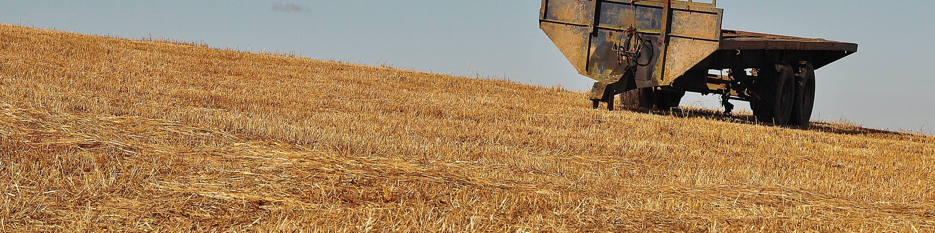 North Devon : Grassy Field