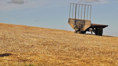 North Devon : Grassy Field