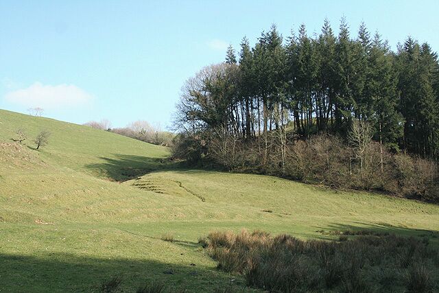 Molland: edge of Zeal Wood A public footpath runs to the left of the wood to link up with Lee Lane