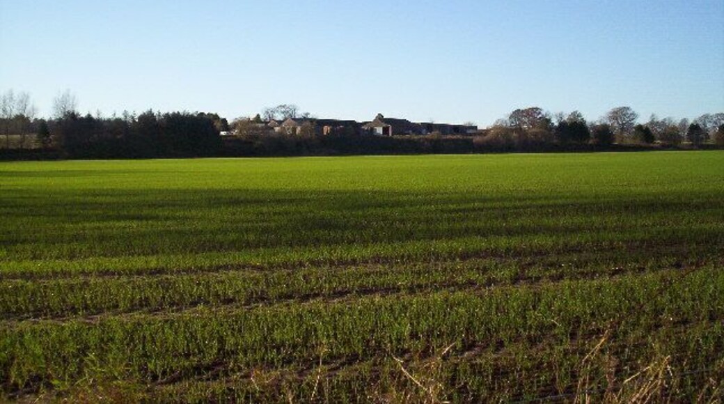 Mains of Gallery Farm.