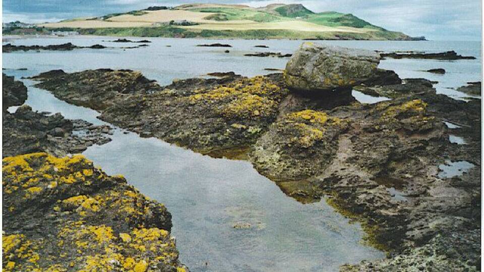 Rocky shoreline with yellow lichen, calm water, and a distant hill.