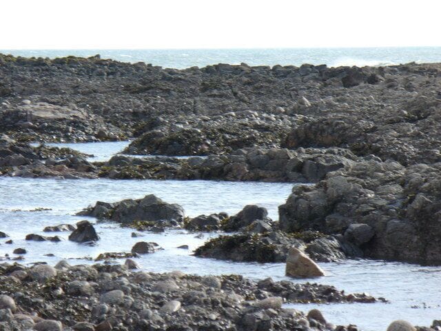 East Long Skelly Looking out to sea over the wave-cut platform at Johnshaven.