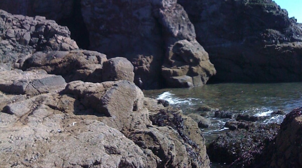 Mill of Woodston, St Cyrus, Montrose DD10 0DQ, UK