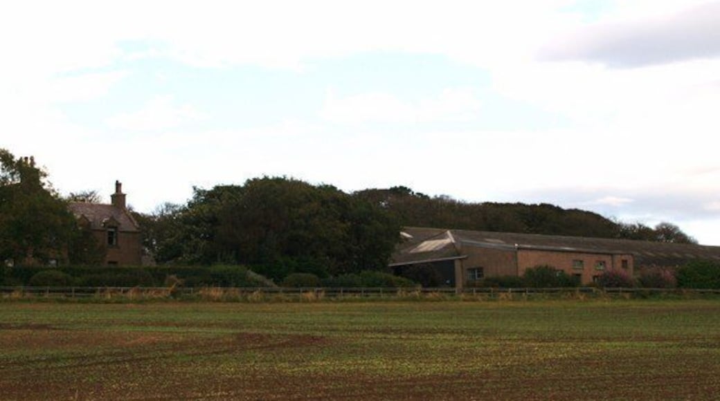 Balandro Farm Above Johnshaven on the edge of the road is balandro.