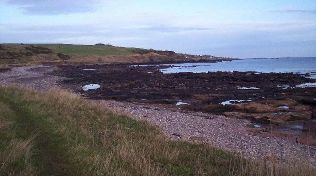 Beach near Johnshaven. Near the bushes on the left is the Narrows lime kiln
