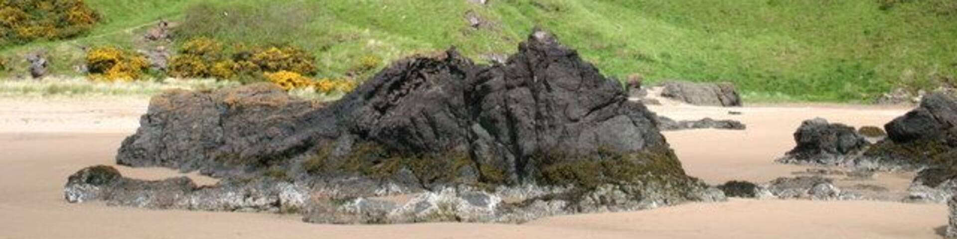 Paths go up the cliffs to Woodston Fishery From St Cyrus beach the paths go up the cliffs to Woodston Fishery