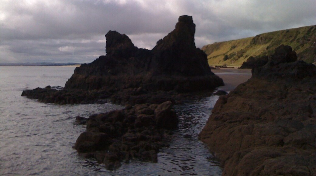 Mill of Woodston, St Cyrus, Montrose DD10 0DQ, UK