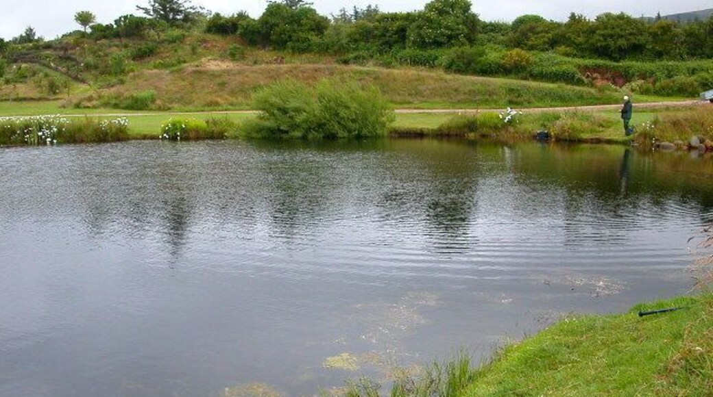 Fishery near Blackwaterfoot, Isle of Arran. Lovely rainbow and brown trout fishery just south of Blackwaterfoot.