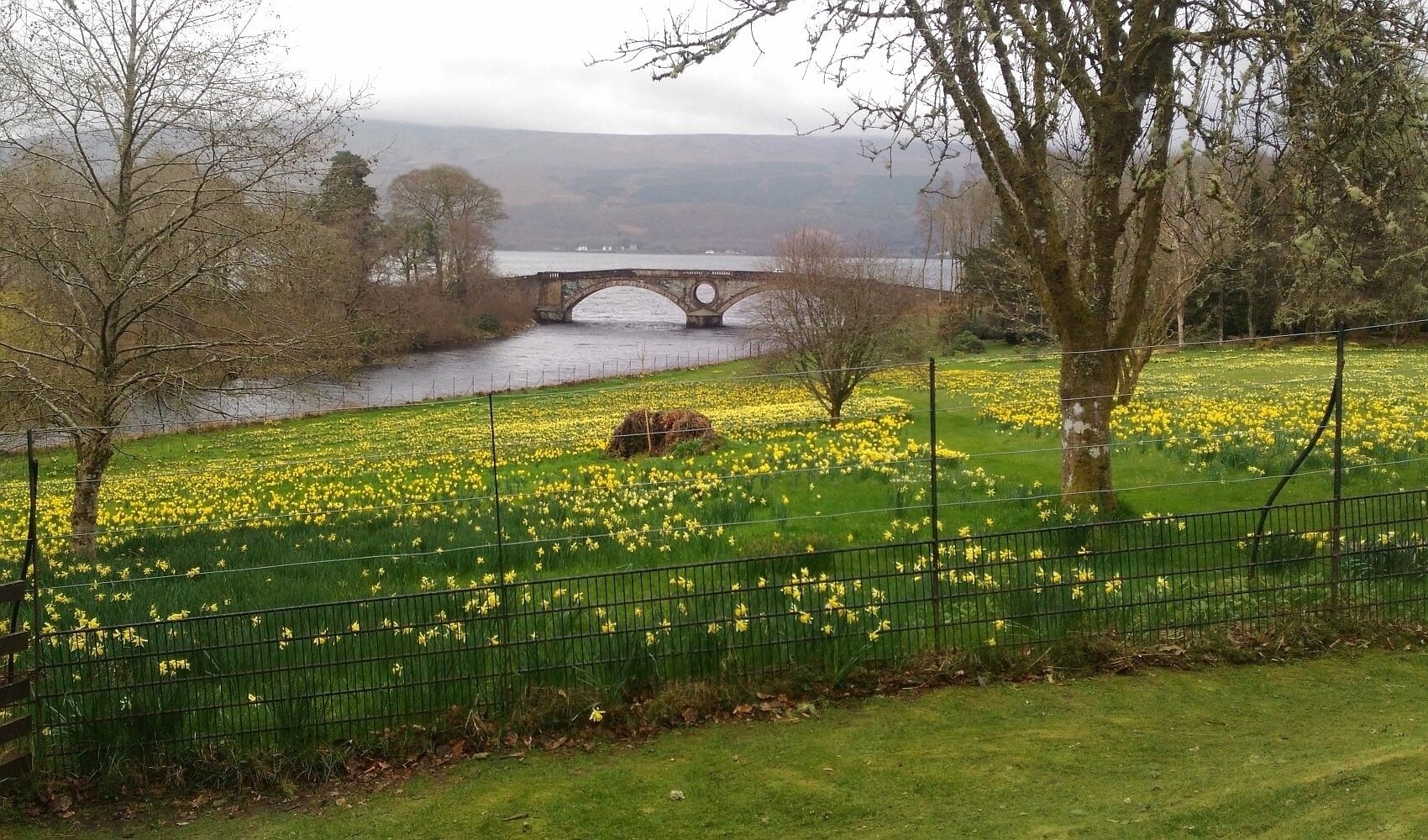 I joined a bus tour to west #Highland. The bus stopped at Inveraray Castle. When I was waiting for our bus to pick us up, I found this nice place by chance.
This place is a "nothing special" place, but it's still beautiful. Trees, flowers, mountain, bridge and lawns look all pretty.
#GreatOutdoors #Scotland