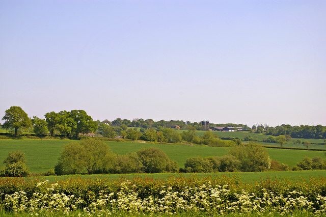 Farmland, Stagg Hill, Hertfordshire. Looking towards The Ridgeway from Stagg Hill. On the horizon just right of centre you can see the silos of Beech Barn Farm.35192