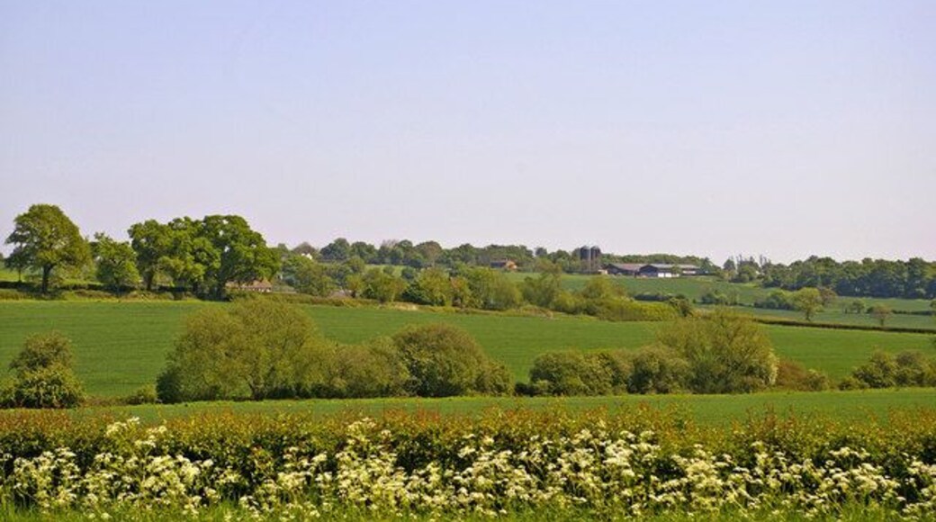 Farmland, Stagg Hill, Hertfordshire. Looking towards The Ridgeway from Stagg Hill. On the horizon just right of centre you can see the silos of Beech Barn Farm.35192