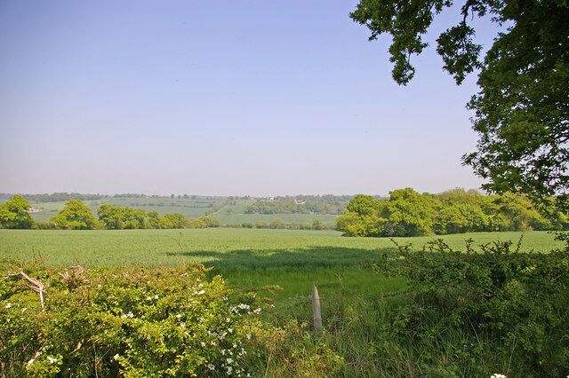 Farmland, Ferney Hill, Hadley Wood, Hertfordshire Looking north from Ferney Hill across farmland with Ash Wood on the right of the image.