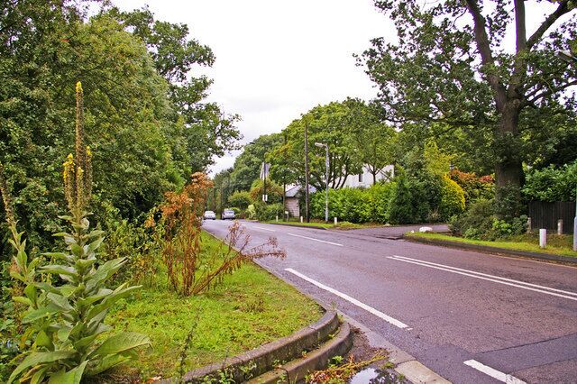 Waggon Road, Hadley Wood, Hertfordshire Looking east down Waggon Road from above the tunnel.