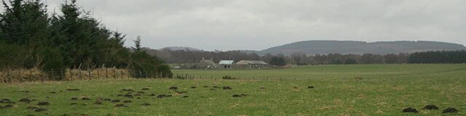 Whitemuir Farm.