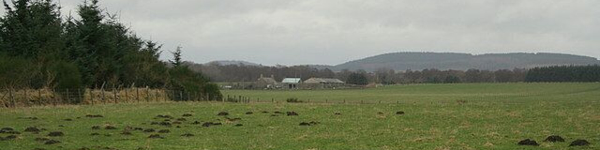 A grassy field with several mounds, a forested area to the left, and distant hills under a cloudy sky.