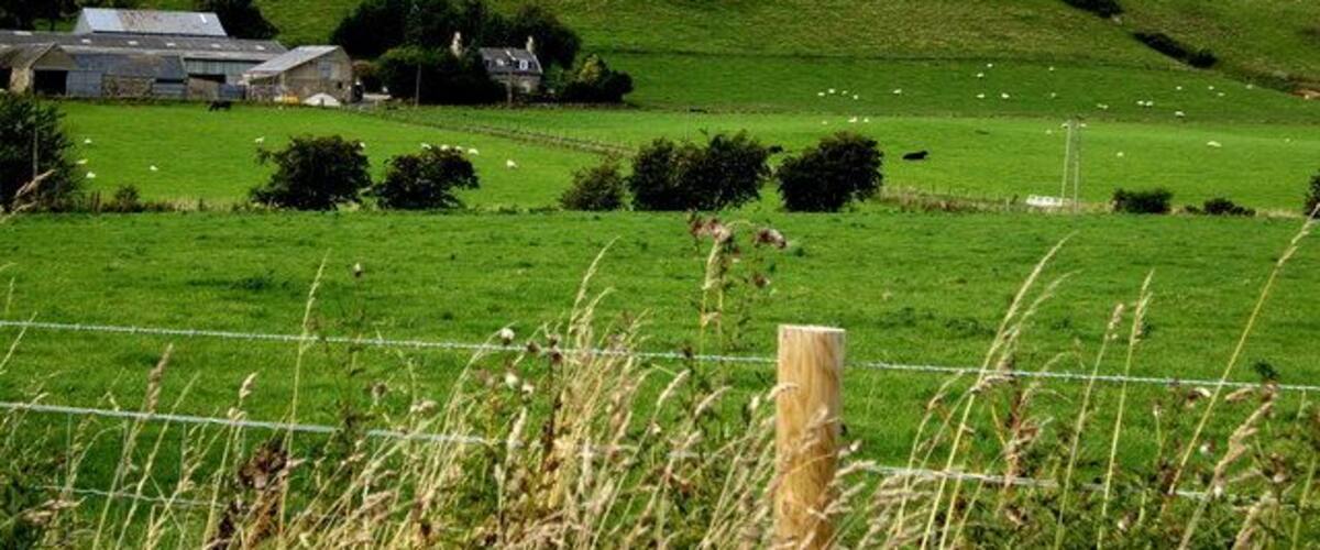 View towards Ord Hill Upper Ord farm in foreground (NJ4827). Tap O'Noth in distance.