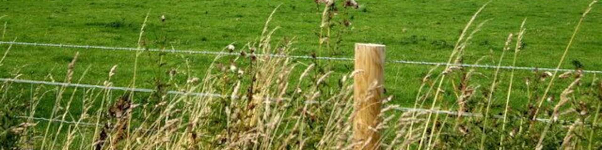 View towards Ord Hill Upper Ord farm in foreground (NJ4827). Tap O'Noth in distance.