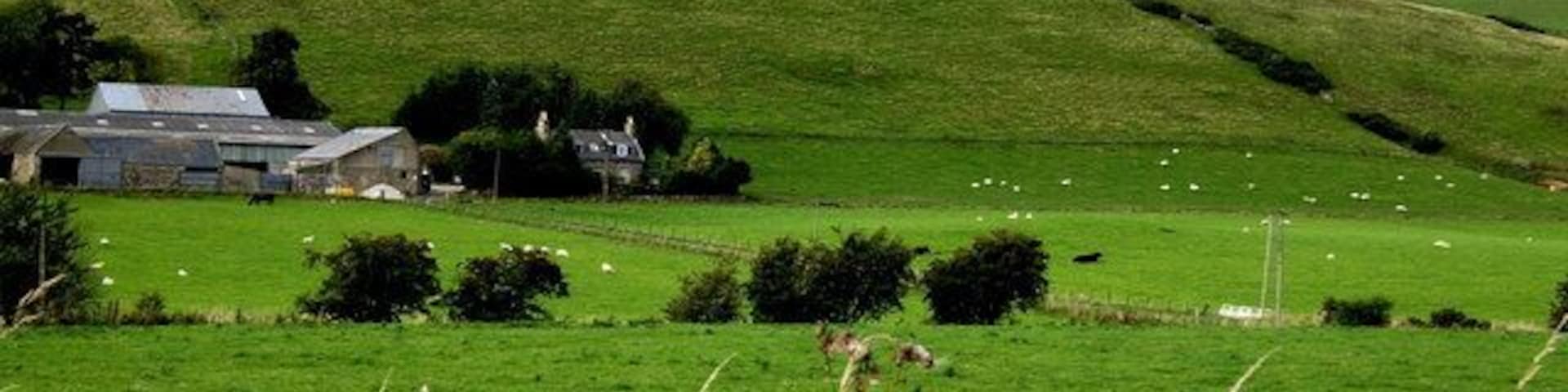 View towards Ord Hill Upper Ord farm in foreground (NJ4827). Tap O'Noth in distance.