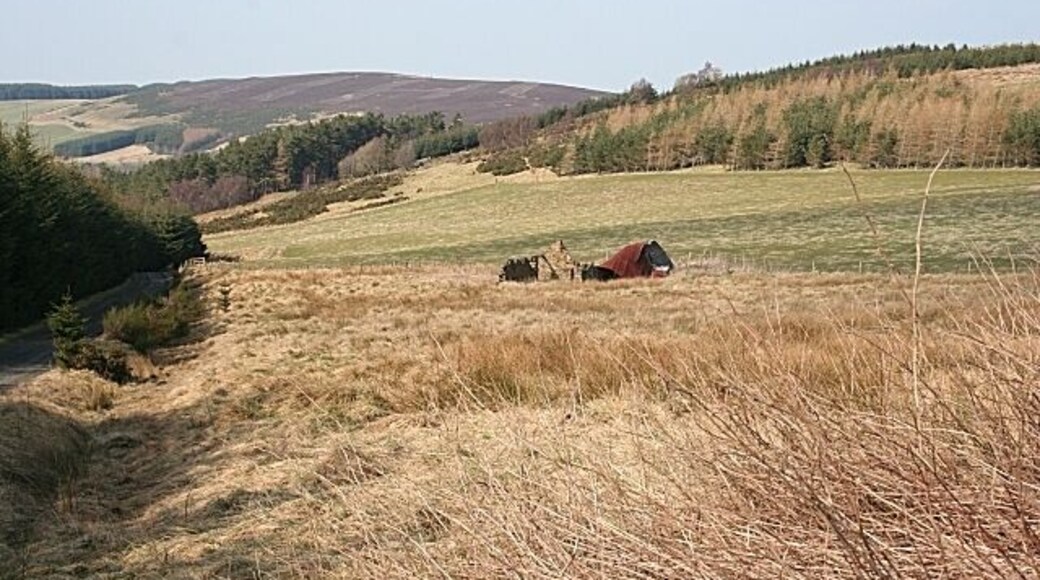 Ruin in a Field This ruin , not named on modern maps, was Malach Croft. Aswanley Wood is to the right, and Both Hill is on the distant skyline.