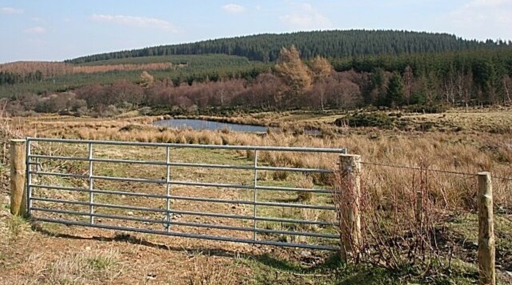 Pond Near Cairnarget The pond is evidently both new, because it is not on the map, and artificial. It has been created by damming the Burn of Backside.