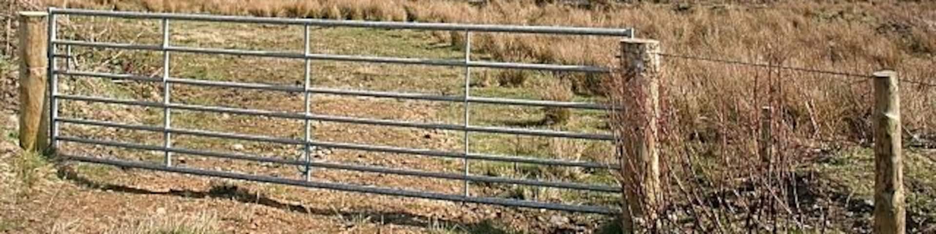 Pond Near Cairnarget The pond is evidently both new, because it is not on the map, and artificial. It has been created by damming the Burn of Backside.