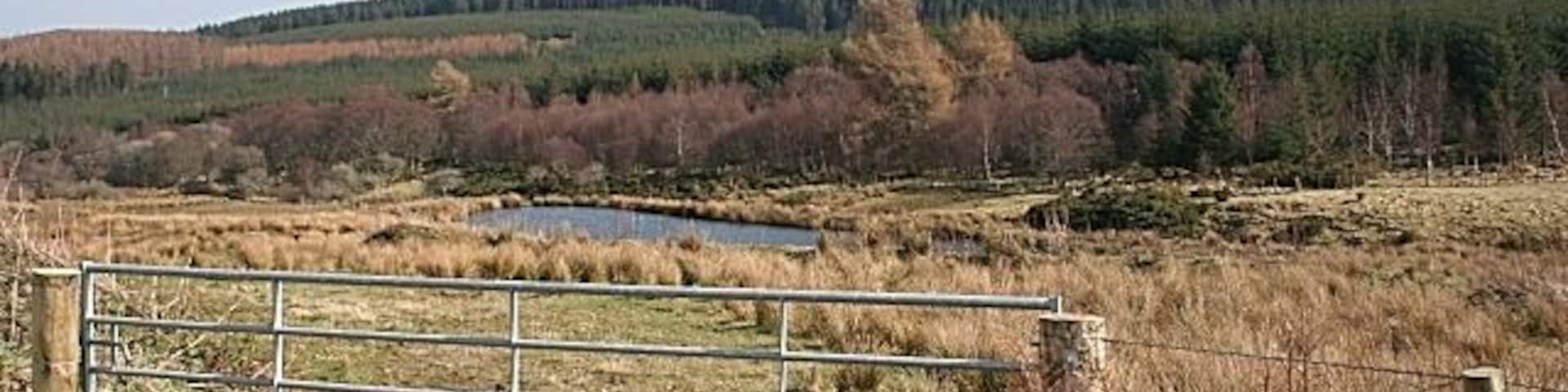 Pond Near Cairnarget The pond is evidently both new, because it is not on the map, and artificial. It has been created by damming the Burn of Backside.