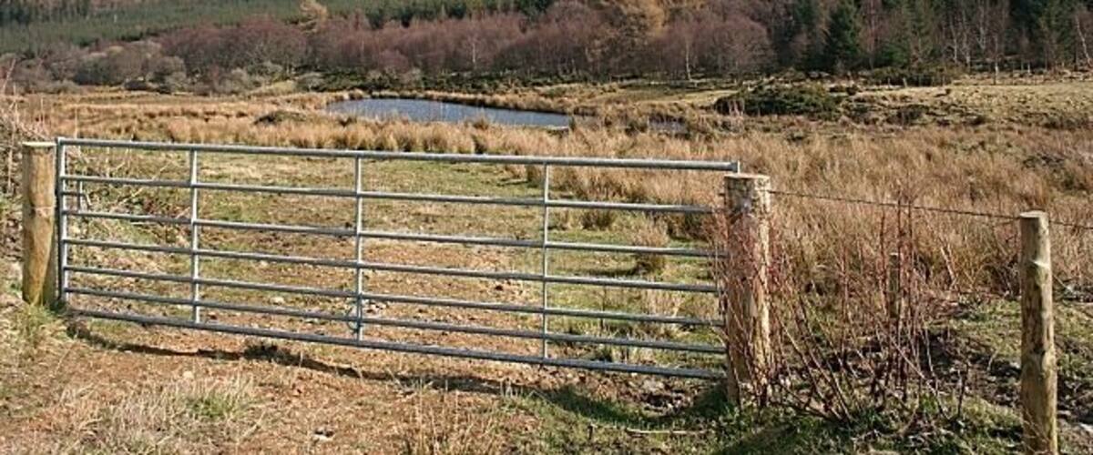 A rural landscape with a metal gate, a pond, and a forested hill in the background.