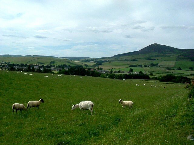 View from near Cottown of Rhynie Over Rhynie, and to Tap o'Noth