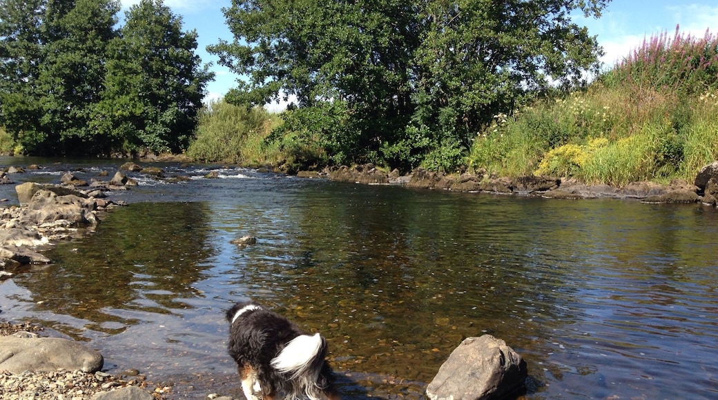 Lovely spot to walk dog