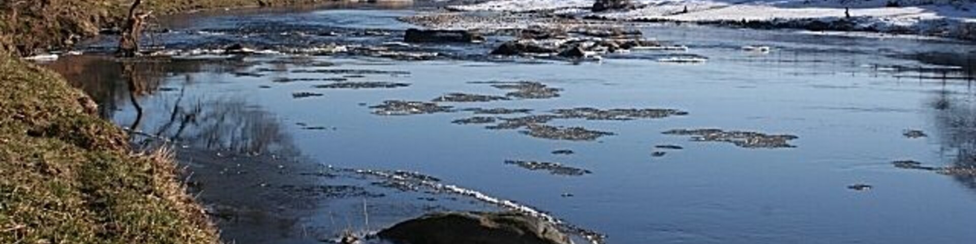 Un río con témpanos y una ribera bordeada de árboles.