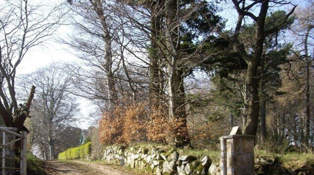 Access to Druminnor Kennels From Clatt to Rhynie road.