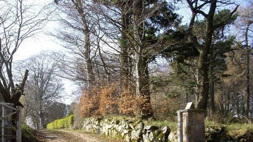 Access to Druminnor Kennels From Clatt to Rhynie road.