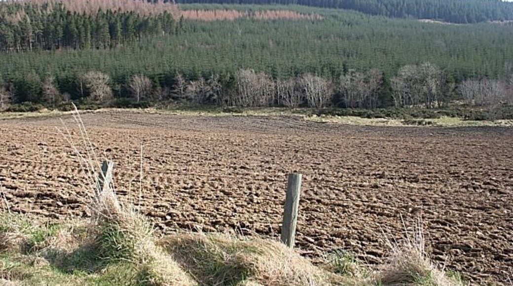 Brown Hill Ploughed fields in the low ground give way to forestry on the higher ground.