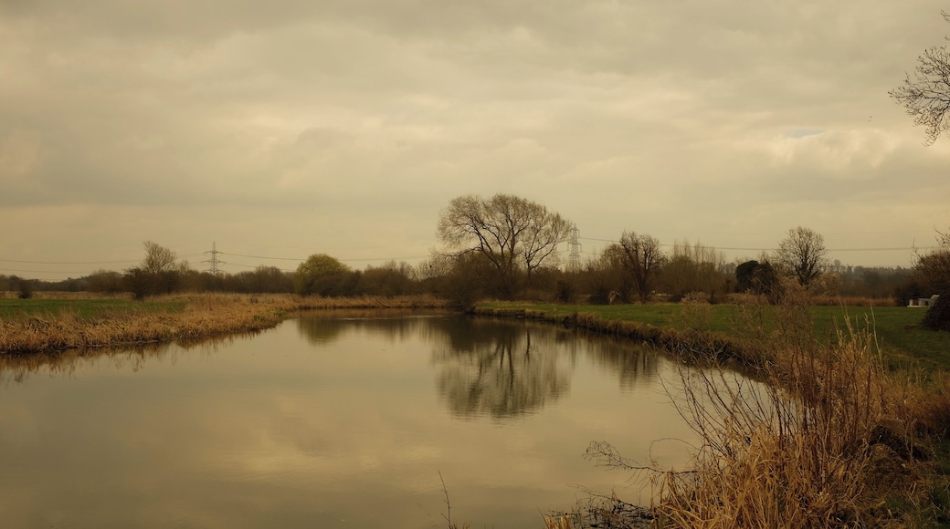 River Thames in Spring
