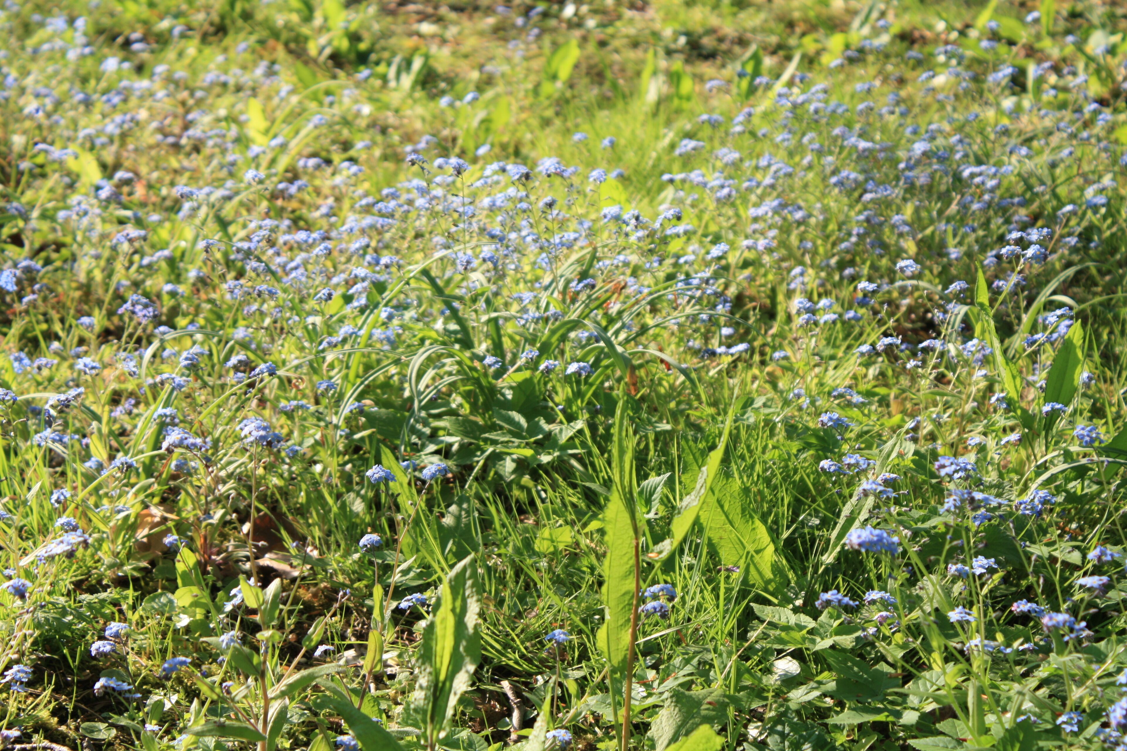 Faringdon, Oxfordshire
