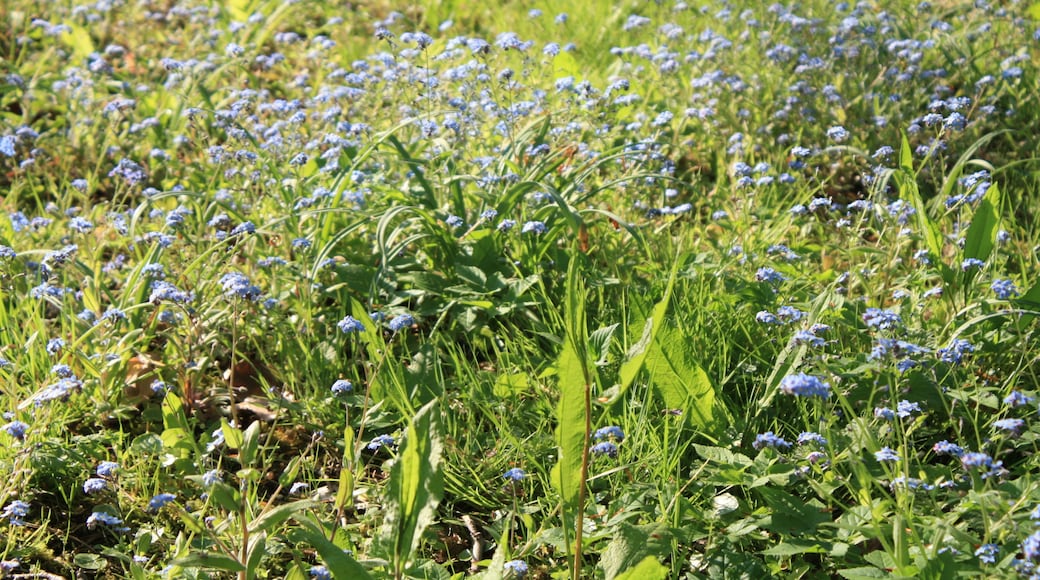Faringdon, Oxfordshire