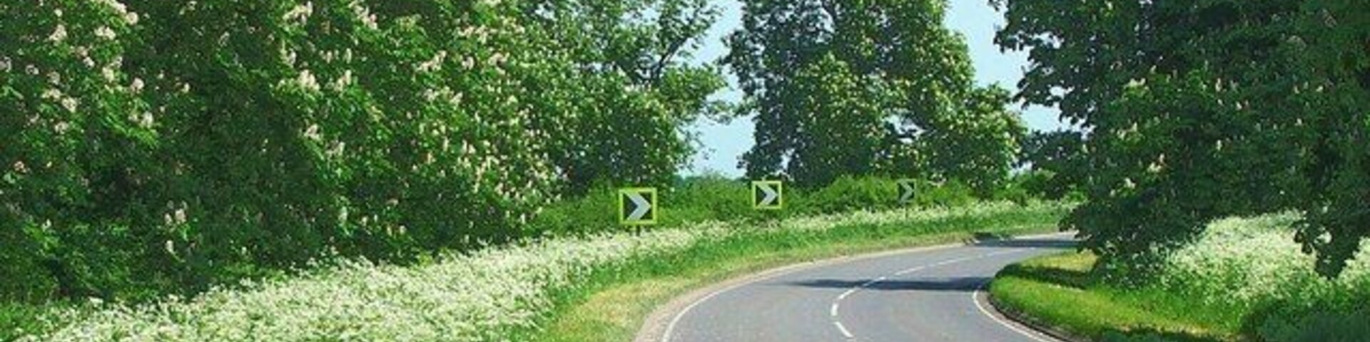 A417 from Buscot to Faringdon Blossom time in May