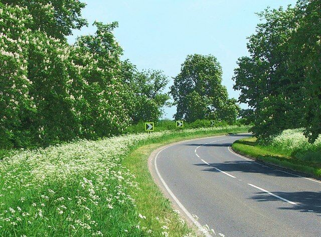 A curving country road flanked by lush green fields and trees.