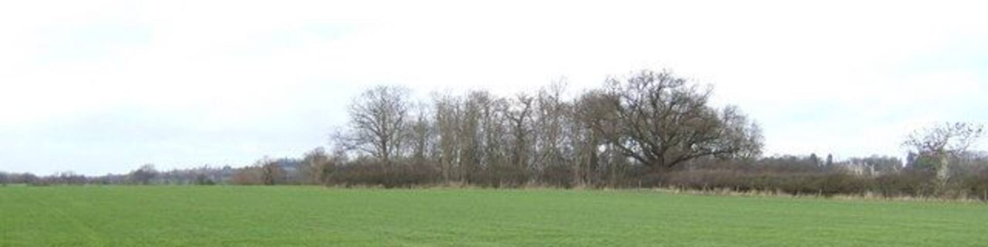 Flat fields of the Vale This view north, close by 307339 continues the theme of typical scenery in the Vale of White Horse. Unnamed copse in shot is not featured on Landranger map.