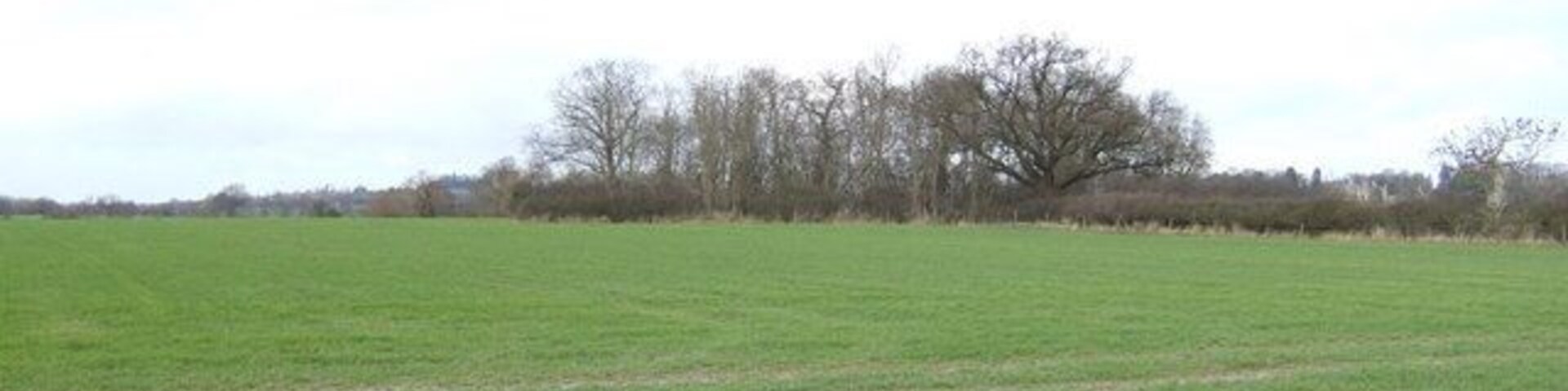 Flat fields of the Vale This view north, close by 307339 continues the theme of typical scenery in the Vale of White Horse. Unnamed copse in shot is not featured on Landranger map.