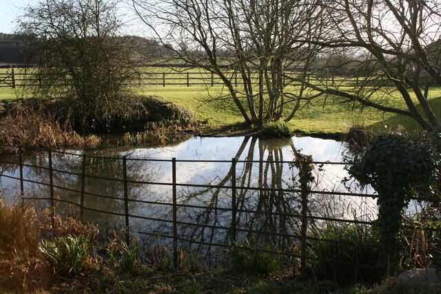 A pond with a fence, trees, and a grassy field in the background.
