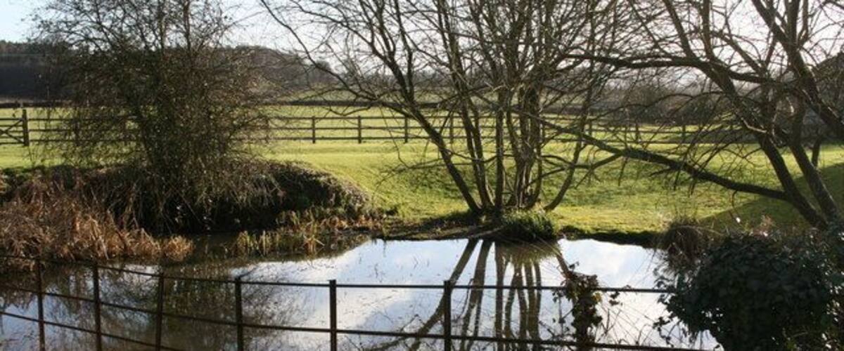 A pond with a fence, trees, and a grassy field in the background.