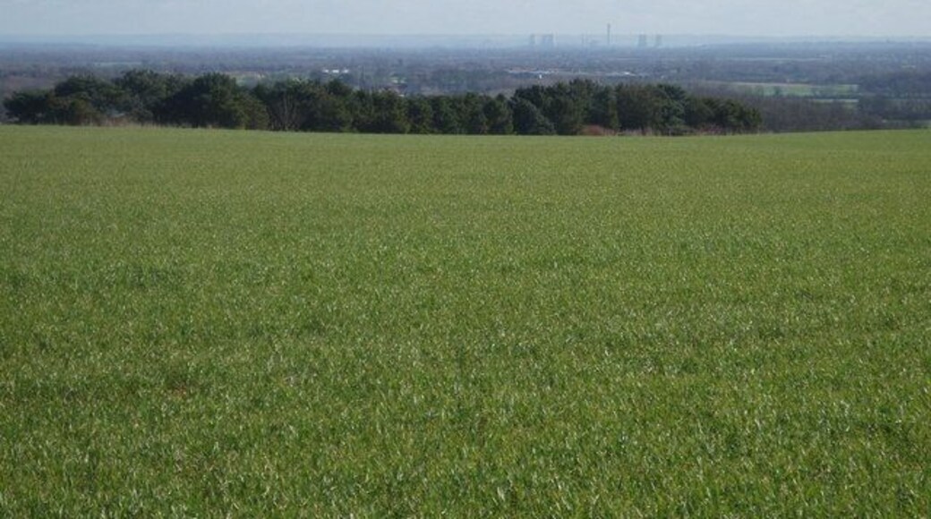 View from footpath across the site of Coles pits The view shows where the Coles pits used to be until the late sixties or early seventies, they were then levelled to amalgamate two fields into one large unit. In the distance is Didcot power station.