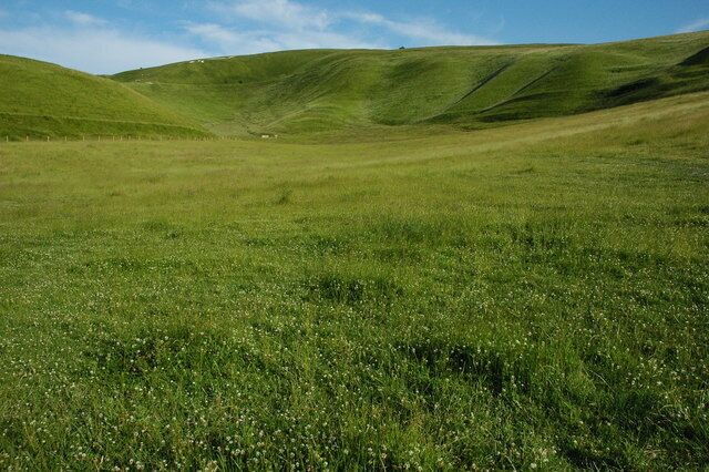 Whitehorse Hill and The Manger View of Whitehorse Hill viewed from the bottom of the dry coombe, The Manger.