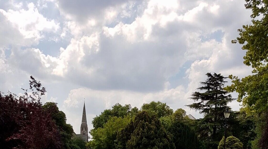 Shades of summer: Enfield New River Loop, Enfield Town, London. Pix: Adrian Verkey
#enfield #london #unitedkingdom #summer #travel #travelblogger #mariadasstheworld