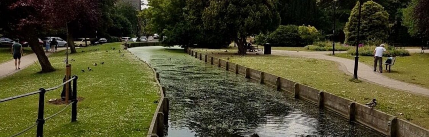 Shades of summer: Enfield New River Loop, Enfield Town, London. Pix: Adrian Verkey
#enfield #london #unitedkingdom #summer #travel #travelblogger #mariadasstheworld